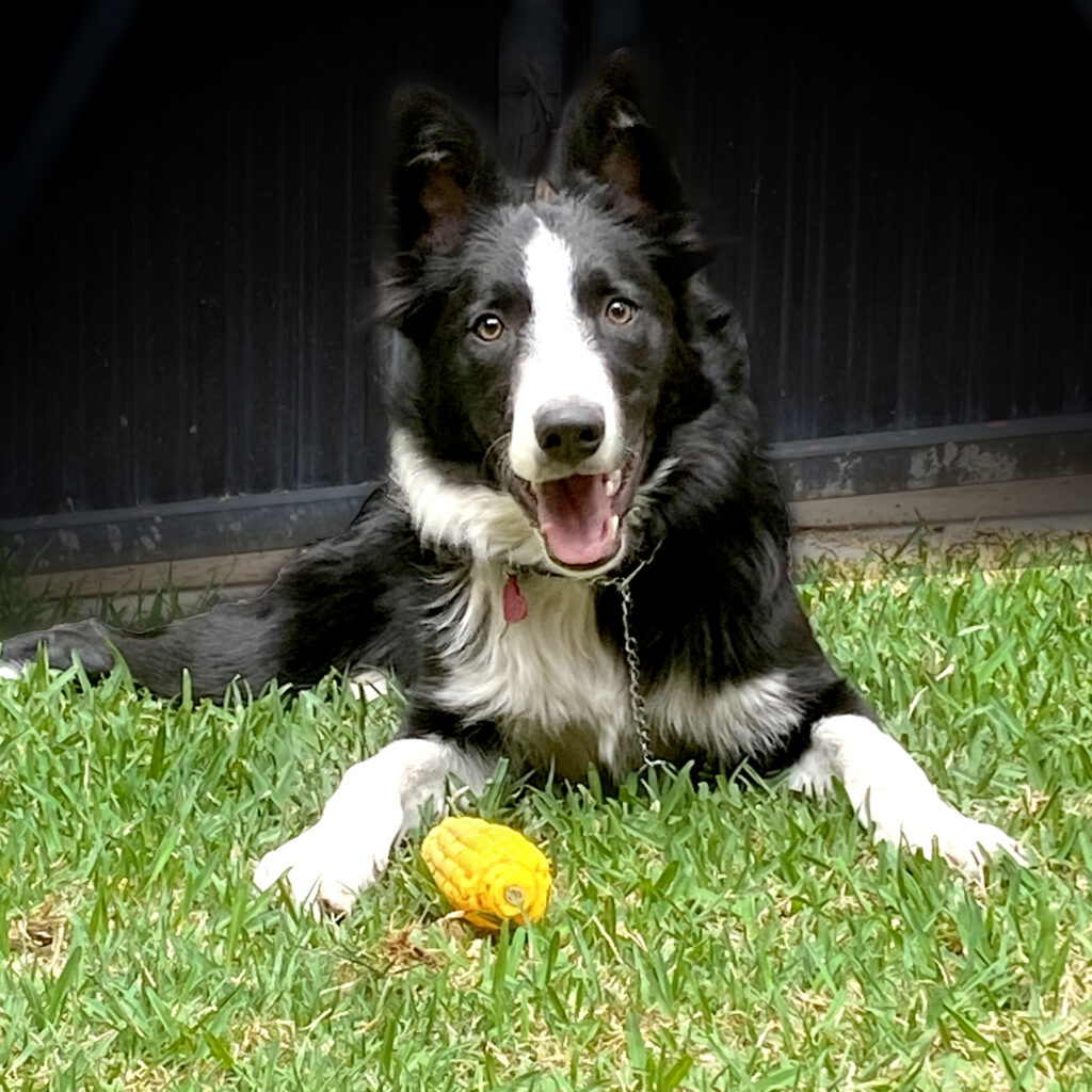 Tomás en Jardín